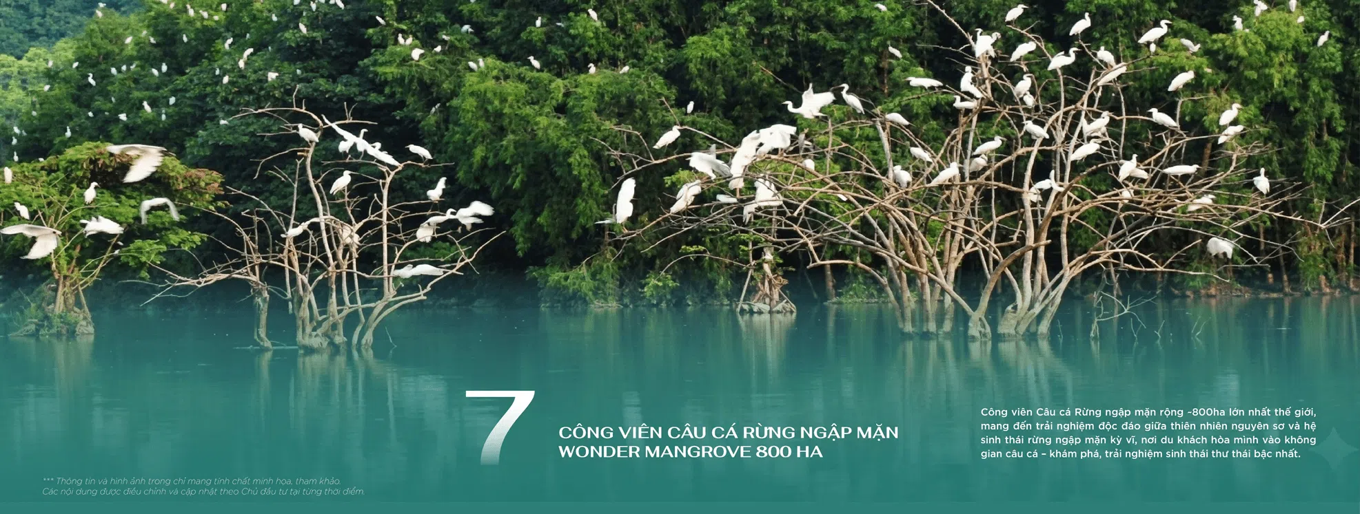 Tiện ích 6 sao 7